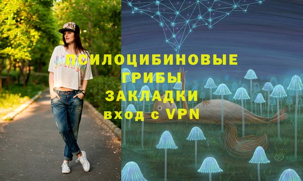 соль ск Коряжма