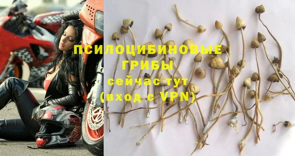 не бодяженный Корсаков