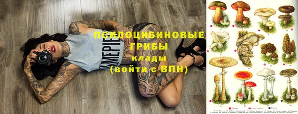 не бодяженный Корсаков