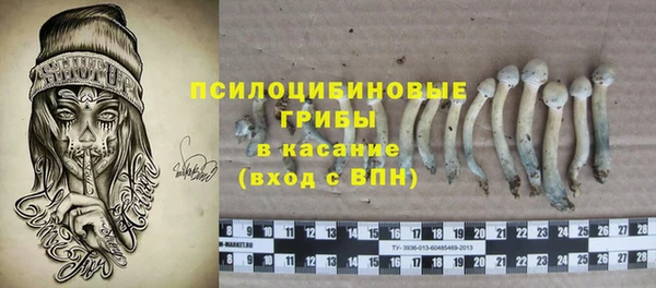 не бодяженный Корсаков