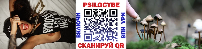 Купить где  Калачинск  Галлюциногенные грибы GOLDEN TEACHER 